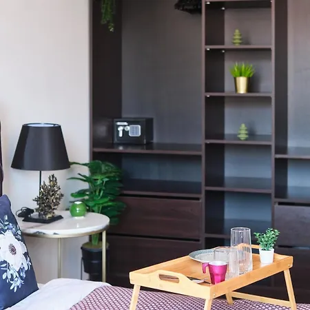 Cozy Penthouse With The Balcony Apartment Istanbul